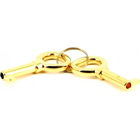 Replacement Part - adorini Standard Key Gold