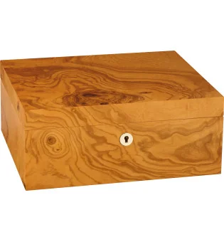 adorini Humidor Salento Oilve Burl Wood Medium Deluxe
