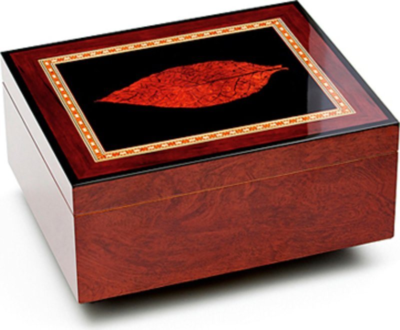 adorini Bari Deluxe Cigar Display Free UK Shipping